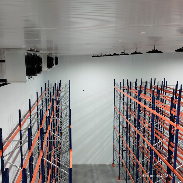 Planta procesadora de fruta