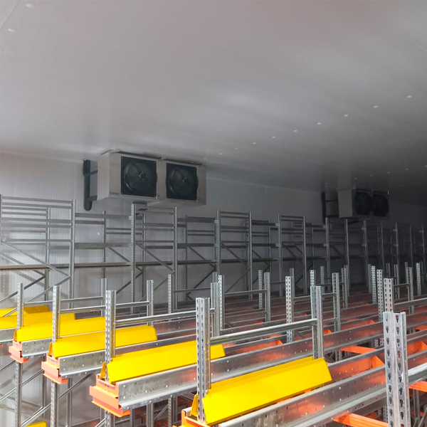 Planta elaboradora de embutidos y carne de cerdo.