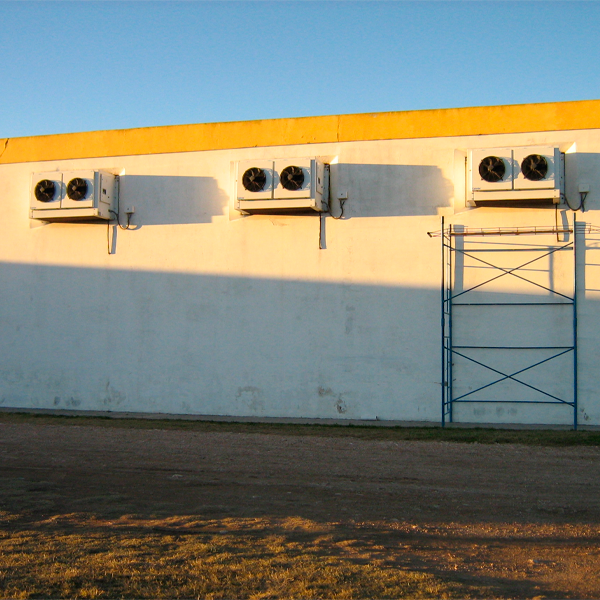 Planta procesadora de carne vacuna y ovina