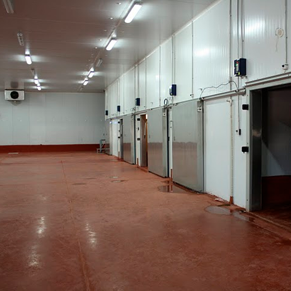 Planta procesadora de carne vacuna